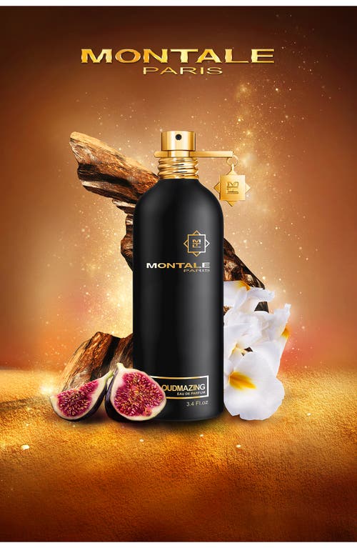Montale Paris Oudmazing Eau De Parfum In No Color