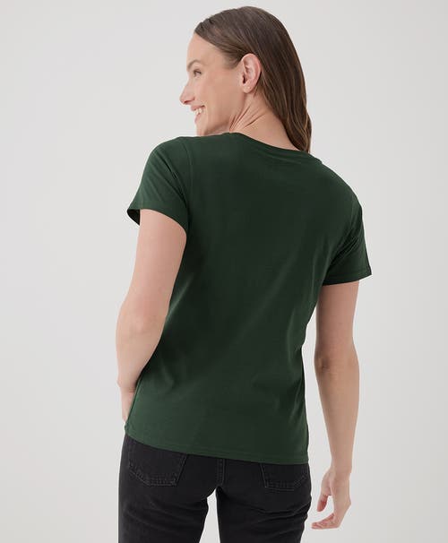 Shop Pact Organic Cotton Softspun V-neck Tee In Mountain View