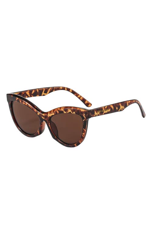 Fifth & Ninth Pippa 73mm Oversize Polarized Cat Eye Sunglasses In Torte