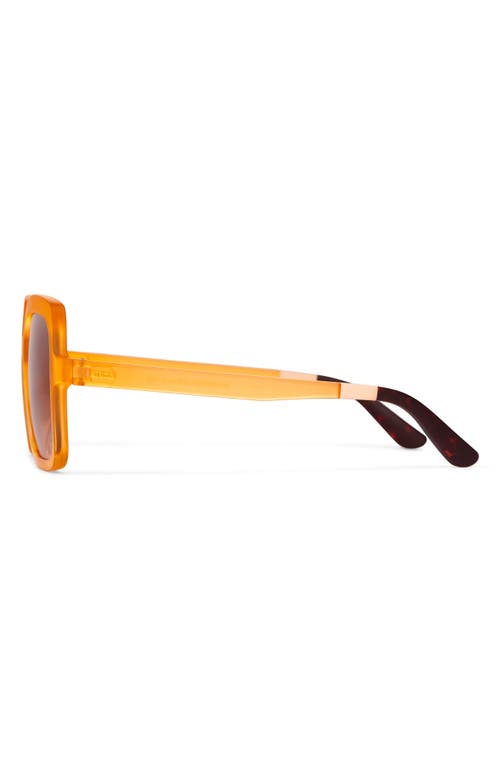 Toms Athena 56mm Square Sunglasses In Honeycomb Crystal Fade/brown