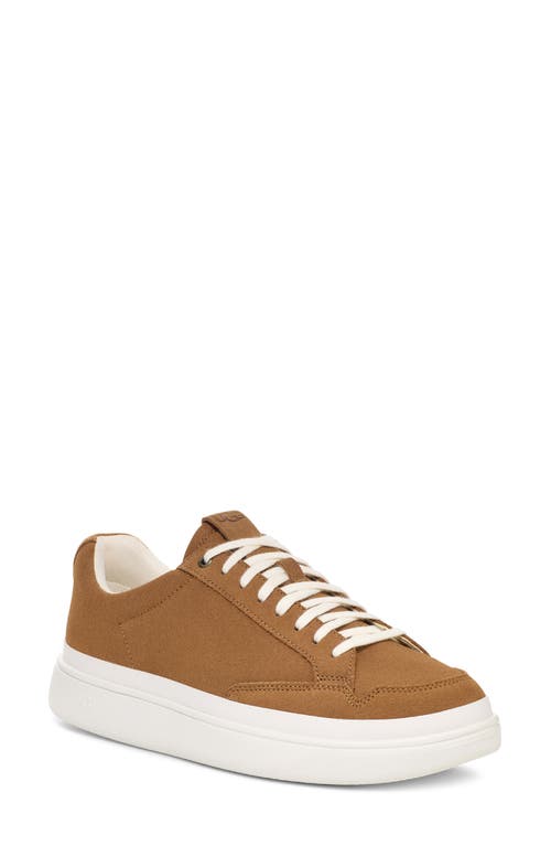 Shop Ugg(r) South Bay Low Sneaker In Chestnut