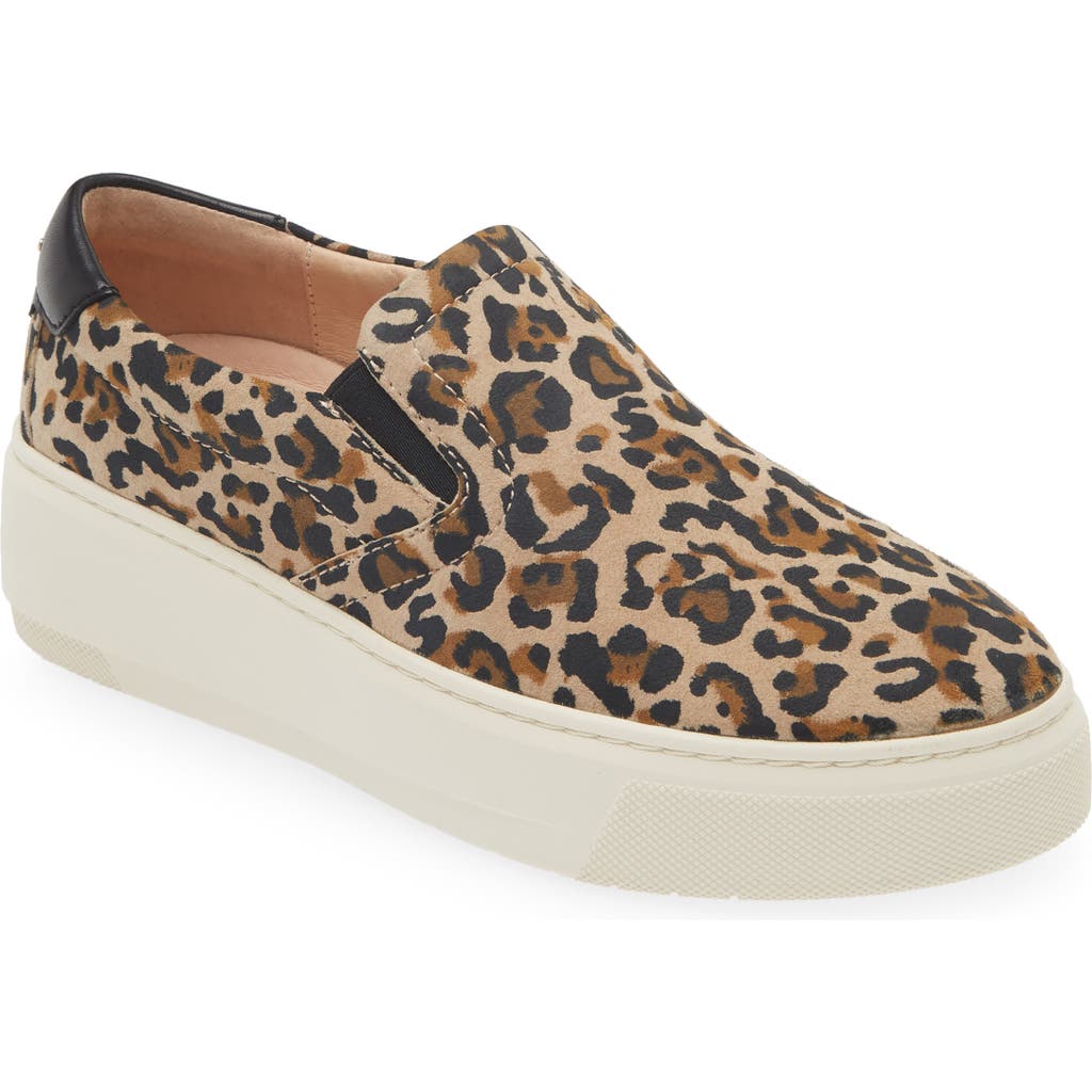 Frankie4 Maxwell Slip-on Sneaker In Leopard