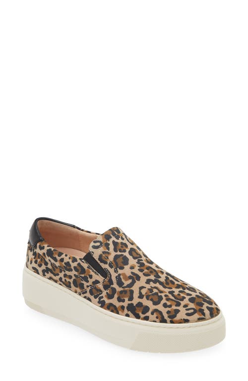 Maxwell Slip-On Sneaker in Leopard