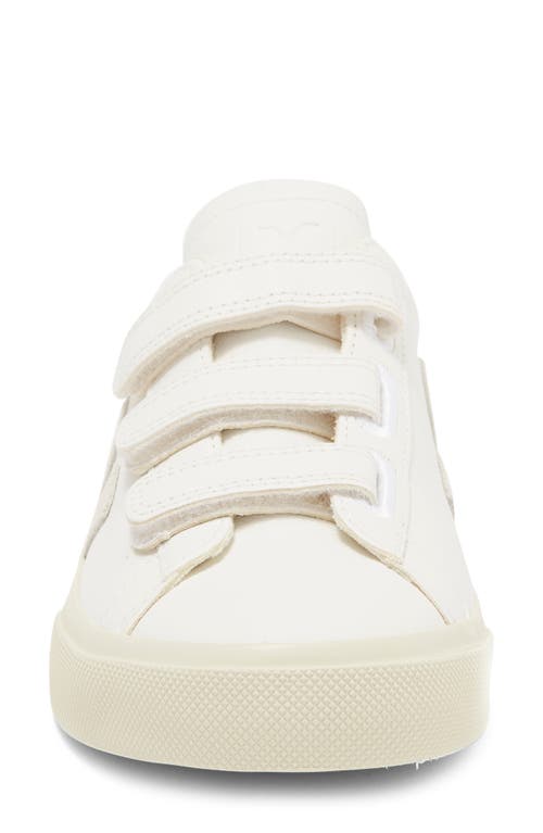 Veja Recife Logo Sneaker In White