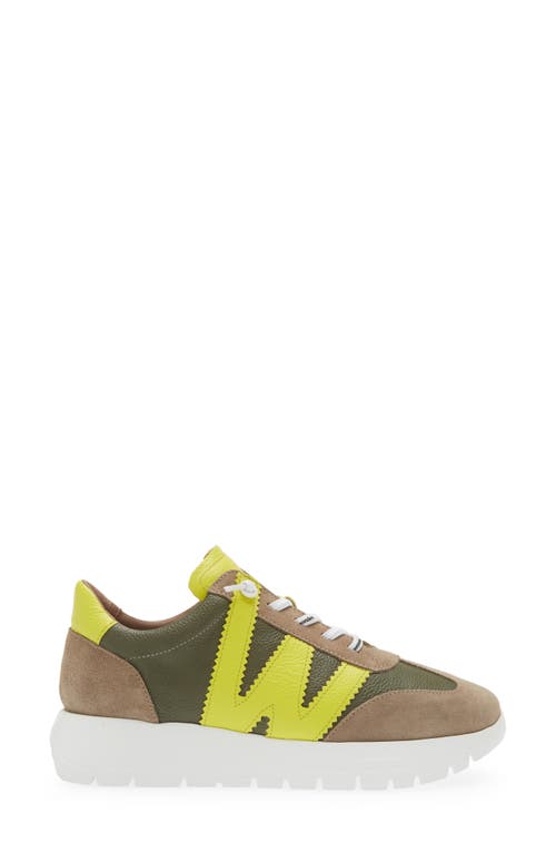 Wonders Fashion Slip-on Sneaker In Taupe/ Algae/ Cyber Combo