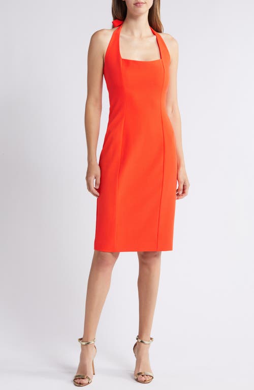 Black Halo Zarela Halter Neck Sheath Cocktail Dress at Nordstrom,