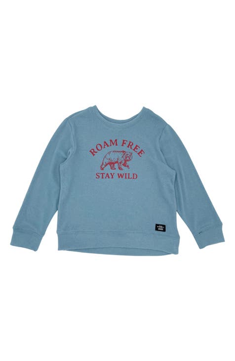 Sweatshirts & Hoodies for Boys Blue