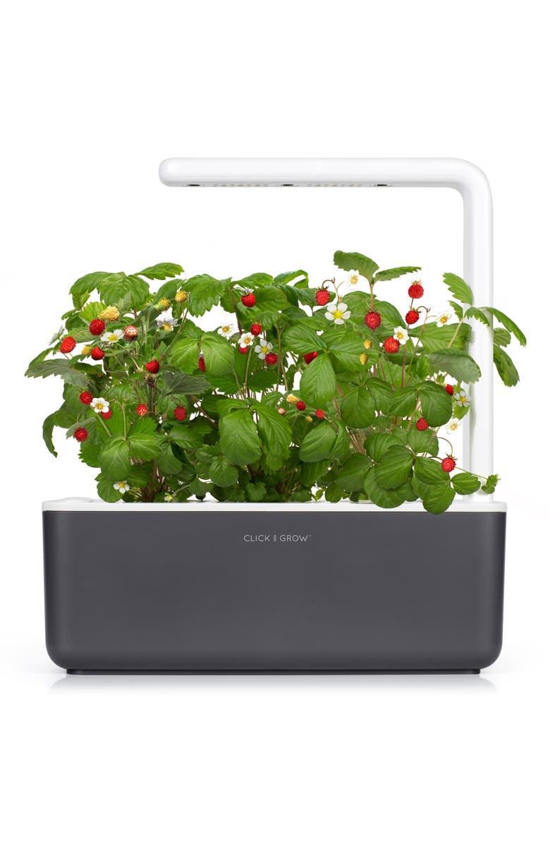 CLICK & GROW Smart Garden 3 Self Watering Indoor Garden, Main, color, GREY