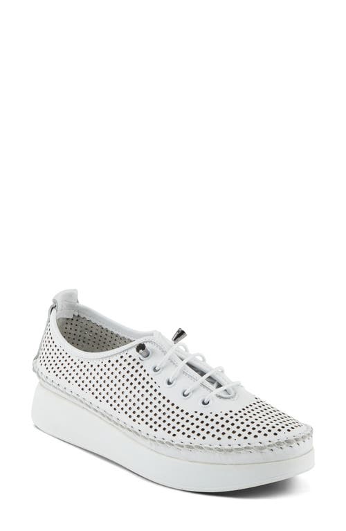 Shop Spring Step Eastwood Platform Sneaker In White