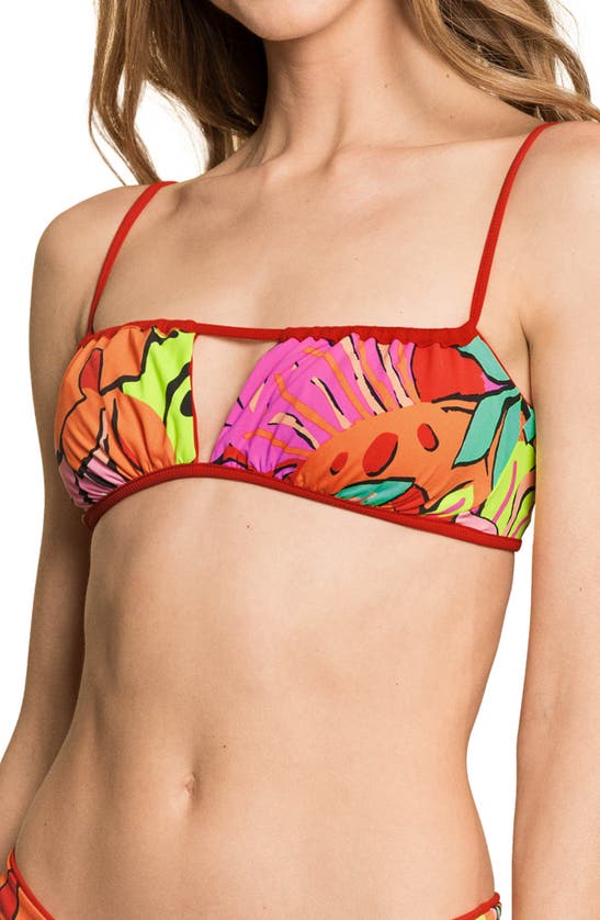 Shop Maaji Crimson Emma Reversible Bikini Top In Red Multi