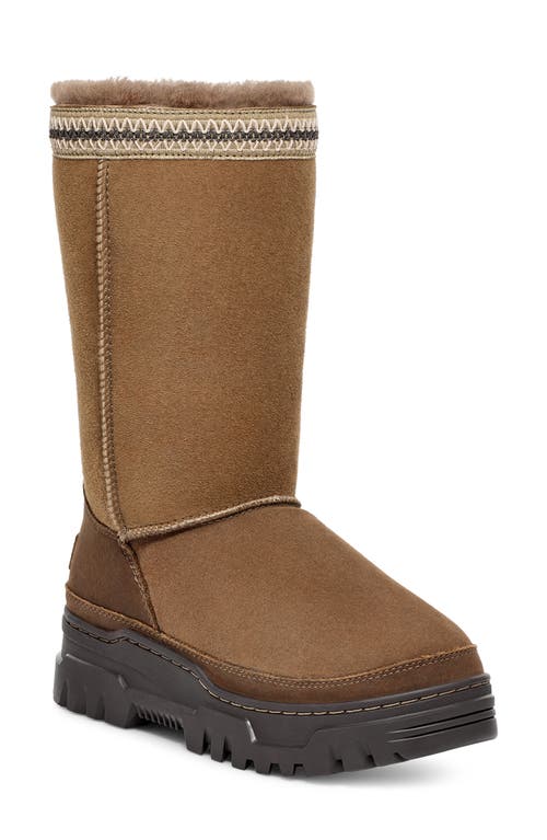 Ugg(r) Classic Tall Trailgazer Boot In Hickory