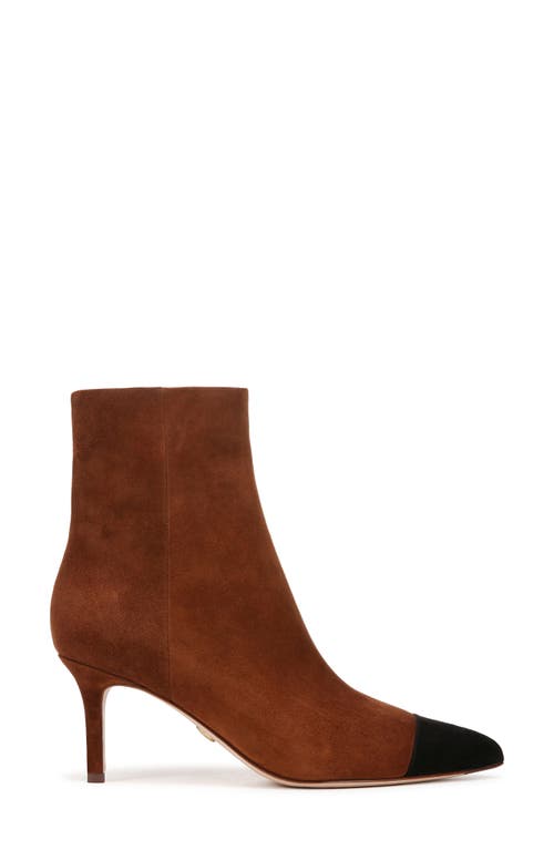 Shop Veronica Beard Lisa Pointed Cap Toe Bootie In Cedar/black