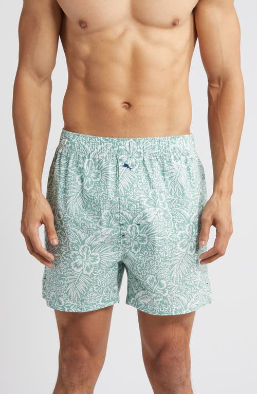 Tommy Bahama Cotton Pajama Boxers Print at Nordstrom,