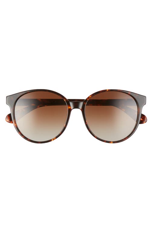 Shop Kate Spade New York Eliza 55mm Polarized Round Sunglasses In Dkhavana/brown Grad Polz