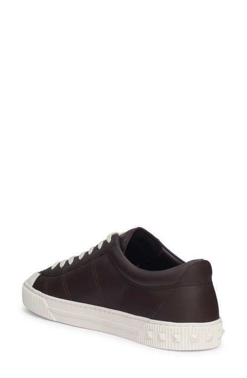 Shop Valentino Garavani Cityplanet Sneaker In E05-ebano/ivory