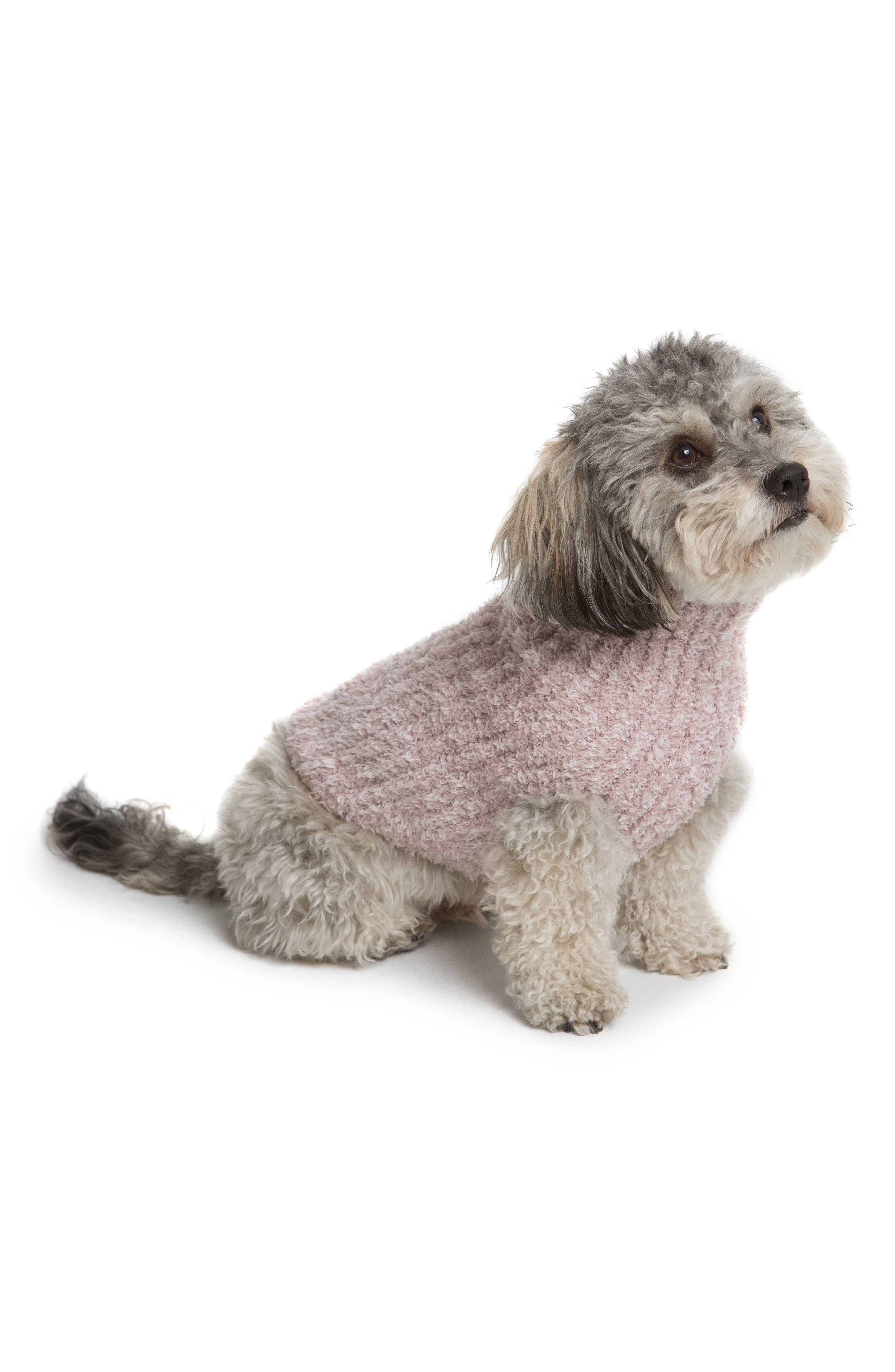 nordstrom barefoot dreams dog sweater