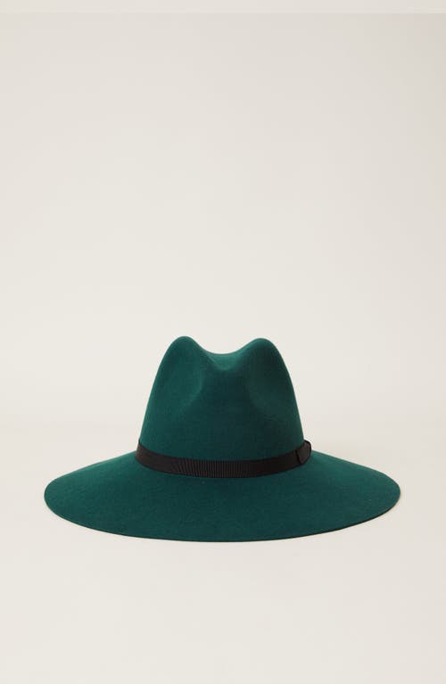 Btb Los Angeles Sofie Hat In Hunter