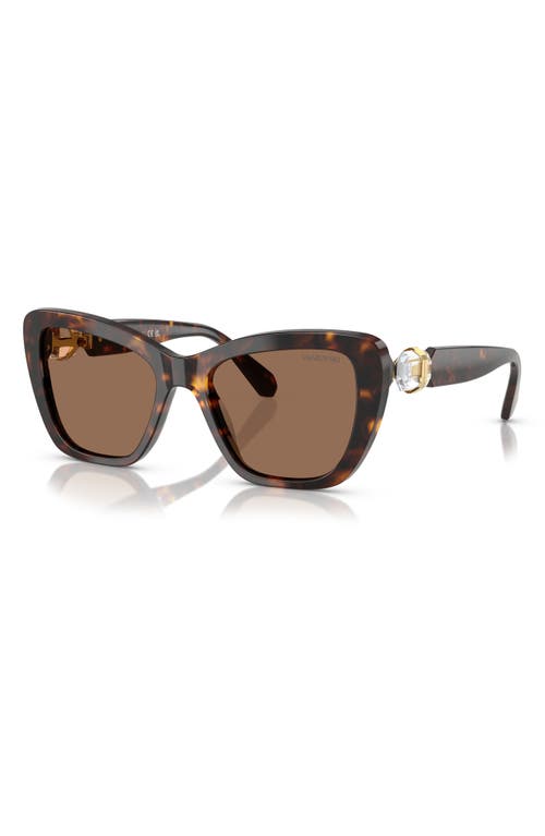 Swarovski 52mm Cat Eye Sunglasses In Havana