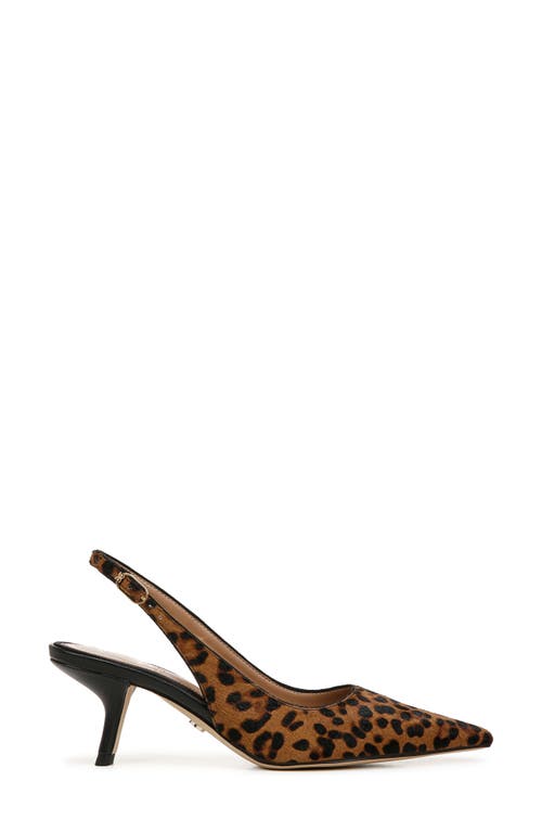 Sam Edelman Bianka Slingback Pump Granada Tan Leopard Leather In Granada Tan