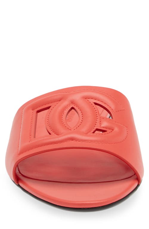 Dolce & Gabbana Dolce&gabbana Bianca Interlock Slide Sandal In Corallo