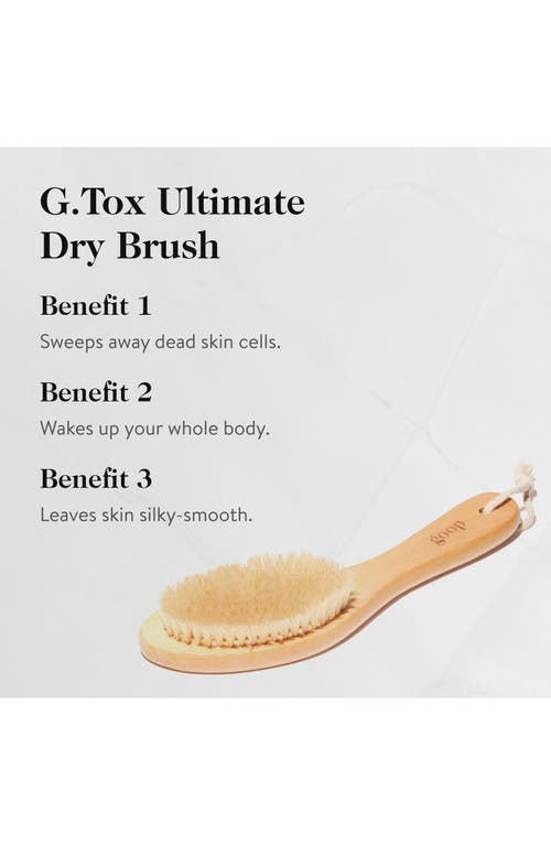 Shop Goop Ultimate Dry Brush In No Color