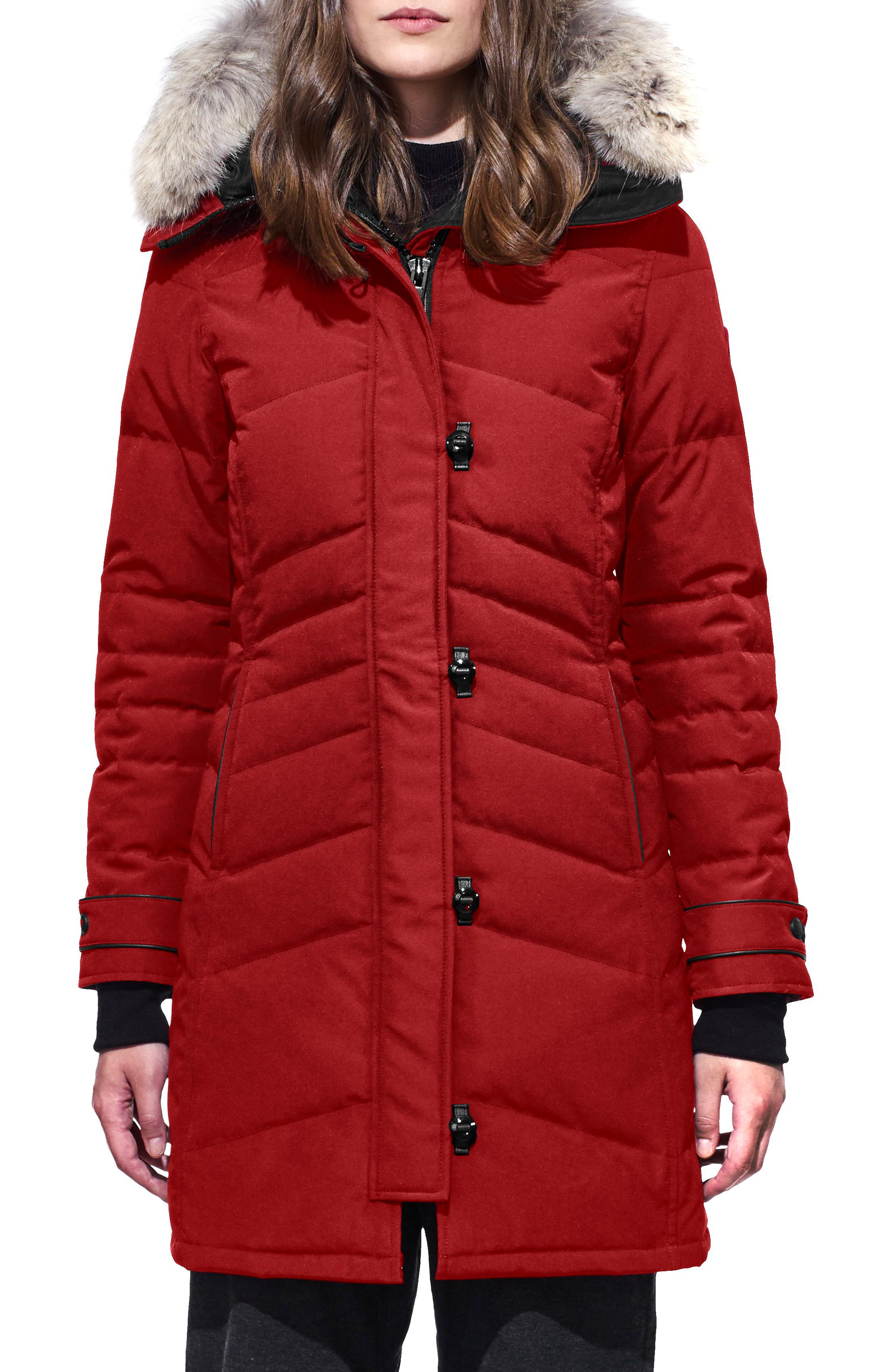 Canada Goose