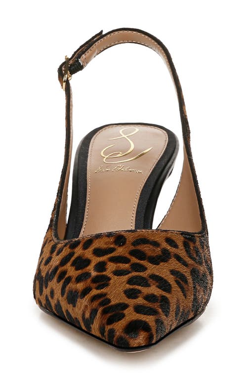 Sam Edelman Bianka Slingback Pump Granada Tan Leopard Leather In Granada Tan