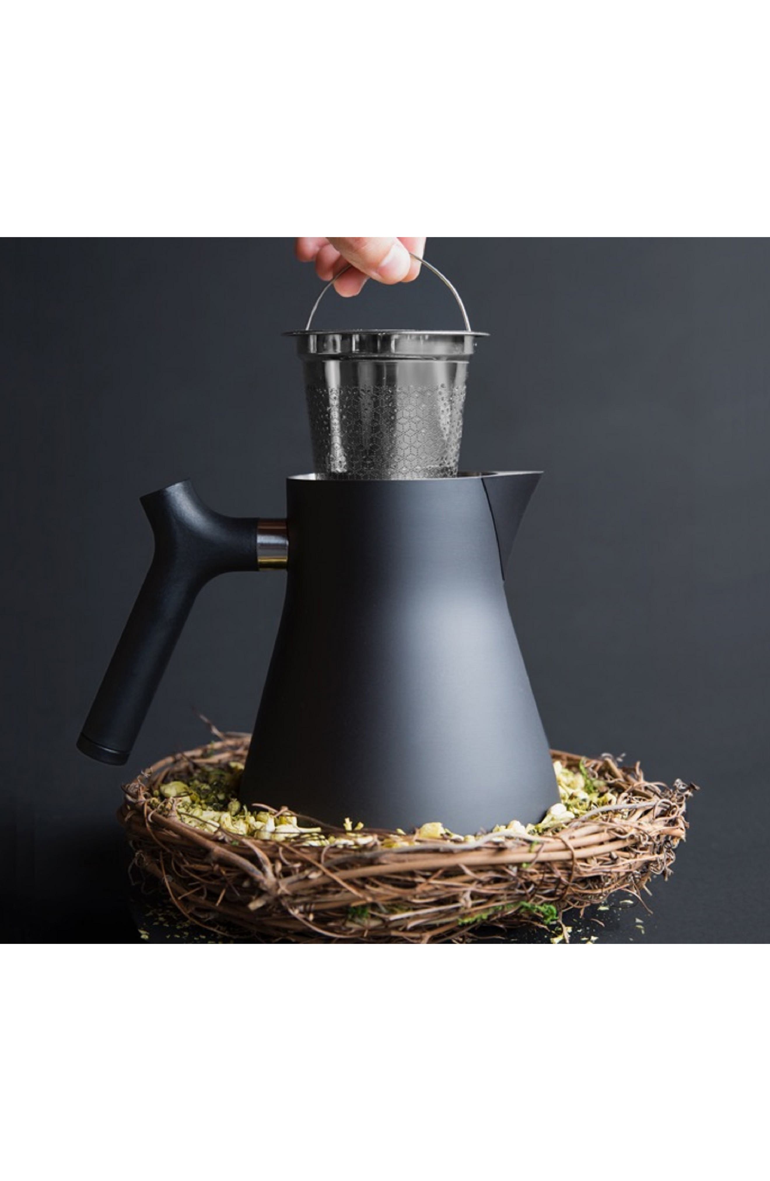 Fellow Raven Stovetop Tea Steeper Kettle Nordstrom
