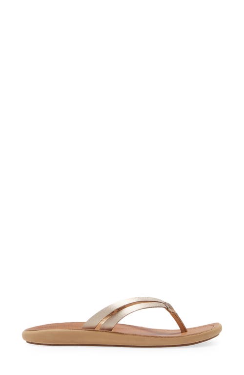 Shop Olukai Kapehe Luana Flip Flop In Bubbly/sahara