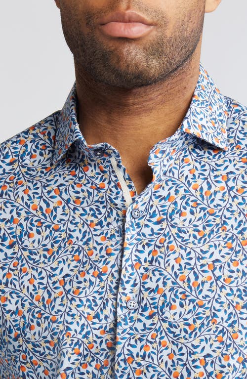 Shop Stone Rose Orange Tree Print Stretch Button-up Shirt In Light Blue