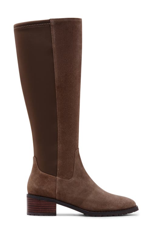 Shop Blondo Symone Waterproof Knee High Boot In Taupe Suede