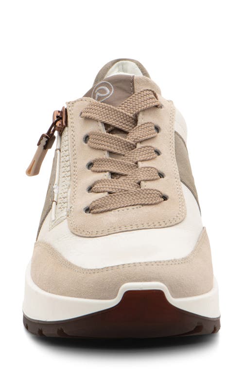 Ara Nerine Sneaker In Beige
