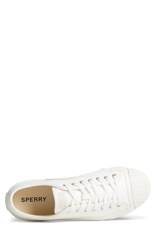 Shop Sperry Racquet Sneaker In White