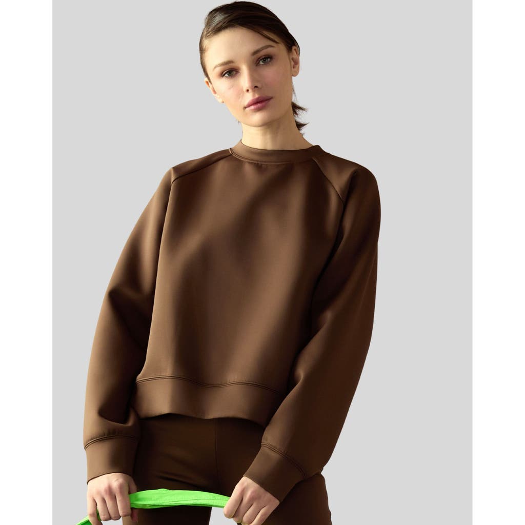 Cynthia Rowley Bonded Pullover Sweatshirt In Brown