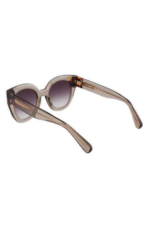 Shop Longchamp Heritage 49mm Small Round Sunglasses In Olive/havana