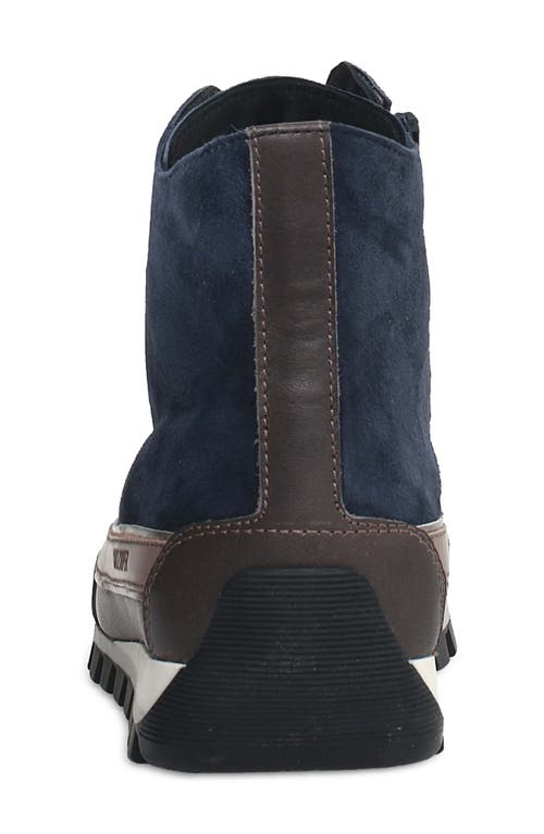 Candice Cooper Janis Strip High Top Sneaker In Navy