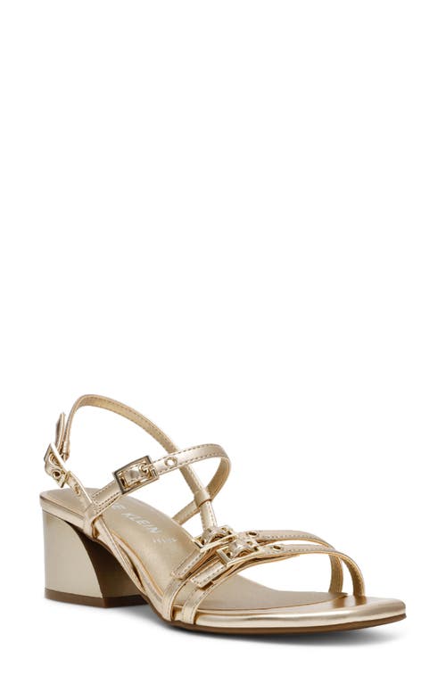 Anne Klein Women's Mackenzie Strappy Buckle Block Heel Dress Sandals In Light Gold Smooth