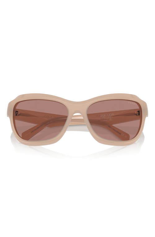 Prada 63mm Oversize Butterfly Sunglasses In Lite Brown