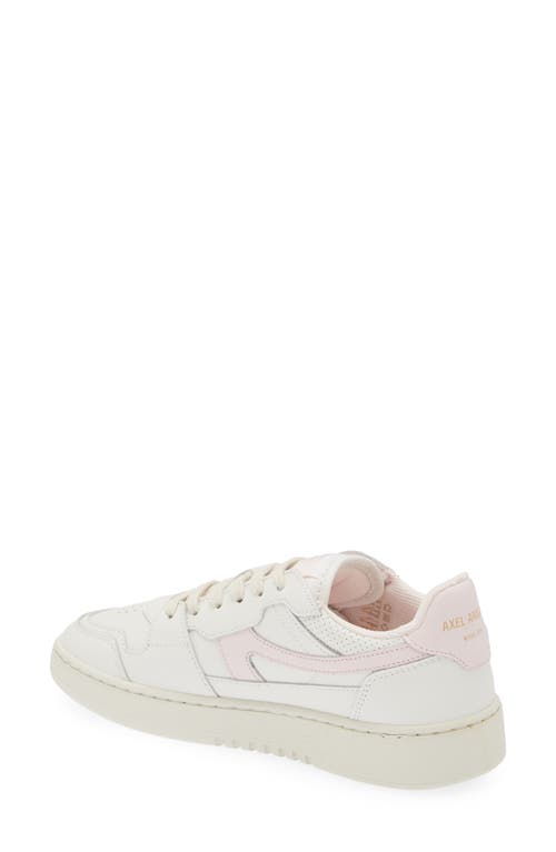 Axel Arigato Dice Lo Sneakers In White/pink