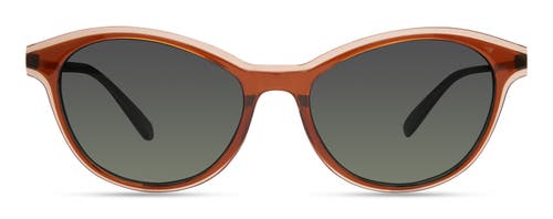 Modo 706 Sunglasses In Warm Brown