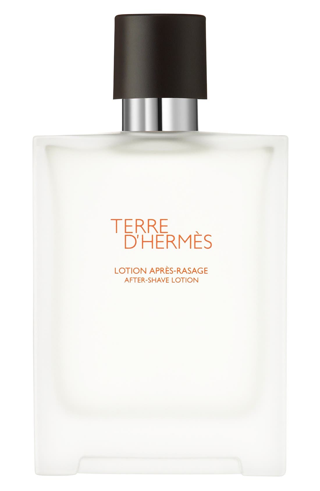 EAN 3346131400119 product image for TERRE D HERMES Hermes Terre d'Hermes - After-shave lotion, Size 3.3 Oz at Nordst | upcitemdb.com