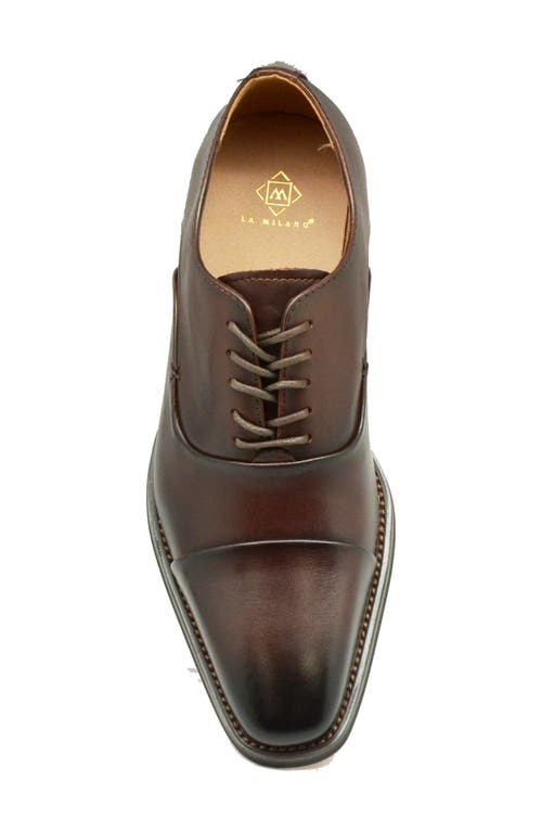 La Milano Winn Cap Toe Oxford In Brown
