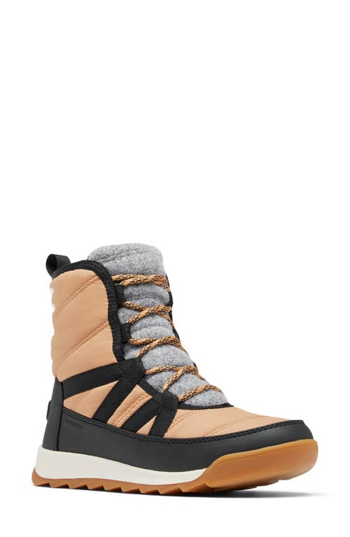 Sorel Whitney Ii Waterproof Snow Boot In Tawny Buff/ Black