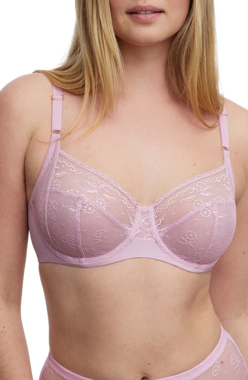 Skarlett Blue Lacy Underwire Full Coverage Bra in Blm Lilac 