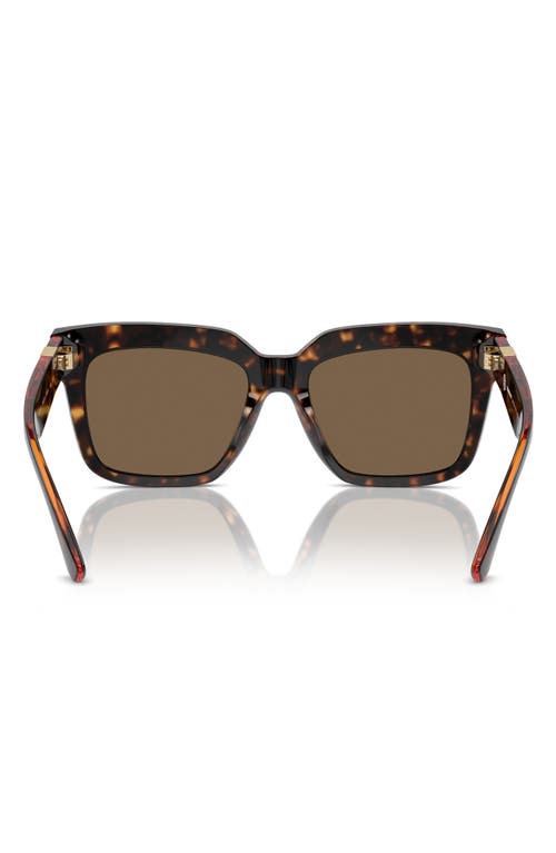 Shop Burberry 54mm Square Sunglasses In Dark Havana