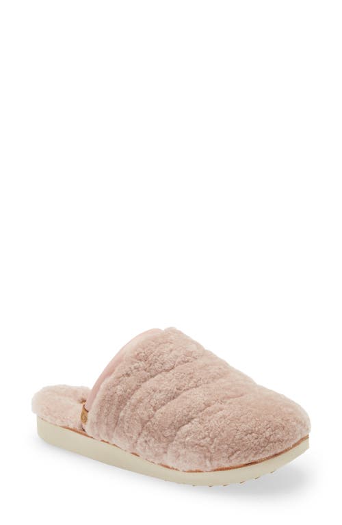 Olukai Pupu Mua Genuine Shearling Scuff Slipper In Pink