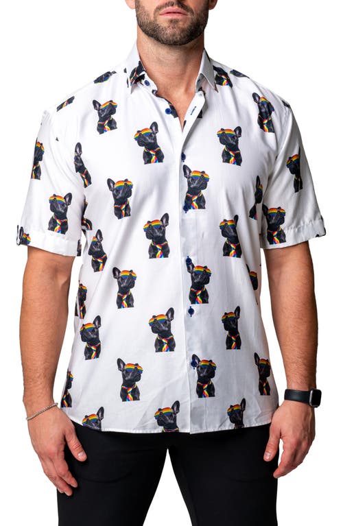 Maceoo Galileo Glasses Dog Regular Fit Short Sleeve Button-Up Shirt White at Nordstrom,