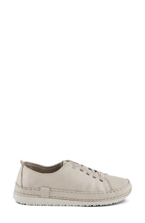 Shop Spring Step Abeck Sneaker In Stone