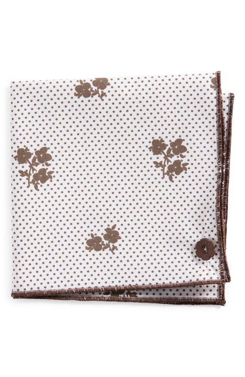 Print Cotton Pocket Square in Brown