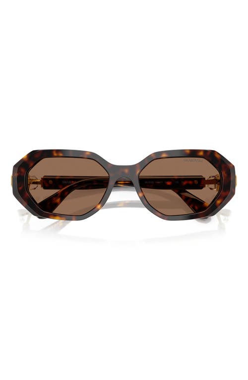 Swarovski 54mm Irregular Sunglasses In Dark Havana